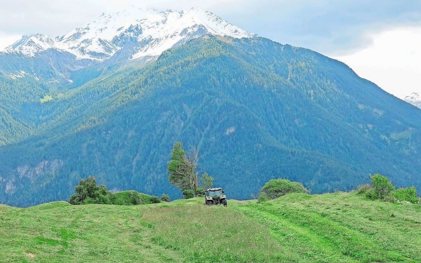 Bevor Getreide und Hülsenfrüchte dem Grünland weichen mussten, wurden diese Kulturen auch im Berggebiet angebaut.