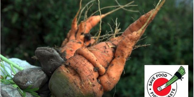 Mit Infomaterial und entsprechenden Klebern sollen Konsumenten zum Kauf von Produkten zweiter und dritter Klasse angeregt werden, um Food waste zu verhindern. (Bild Pixabay / jsc)