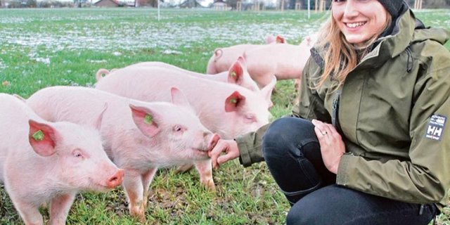 Auf dem Hof von Annemie Straumann-Weber wird künftig nach Demeter-Richtlinien produziert.  Dazu gehören auch Freilandschweine, die in Zukunft als Zusatzfutter Eicheln fressen. (Bild Ruth Bossert)