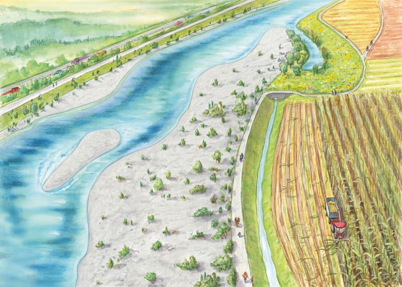 Aufweitung der Reuss beim Honauer Schachen. Dass Hochwasserschutz aus finanziellen Gründen mit Renaturierung und damit Kulturlandverlust verbunden wird, stösst auf sachsende bäuerliche Kritik. (Grafik zVg)