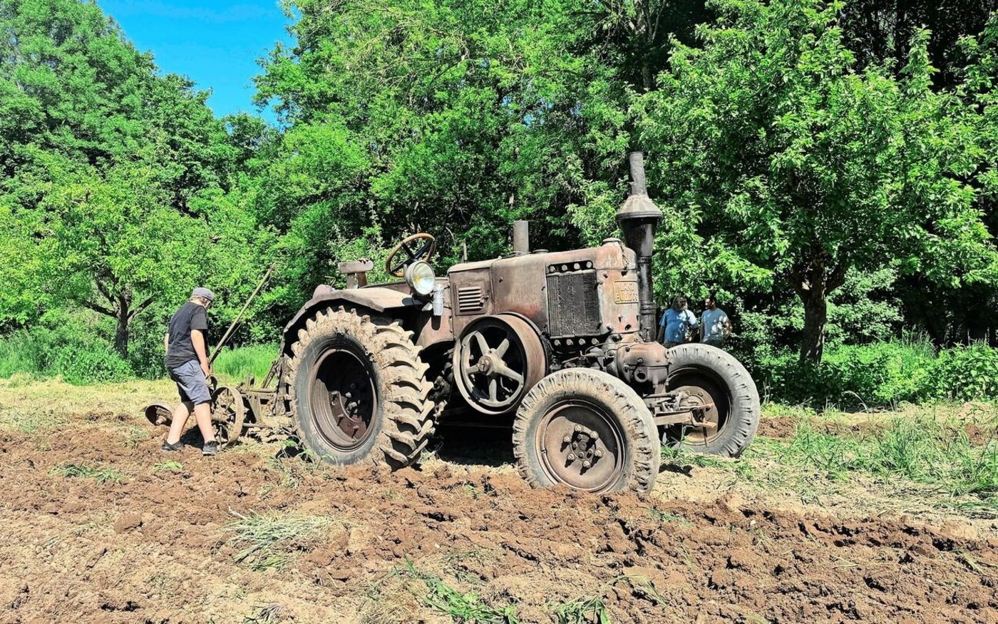 Der «Bulldog» pflügt auch heute noch die Felder. Dieses Model D9506 kommt oft an Wochenenden im Écomusée d’Alsace zum Einsatz.