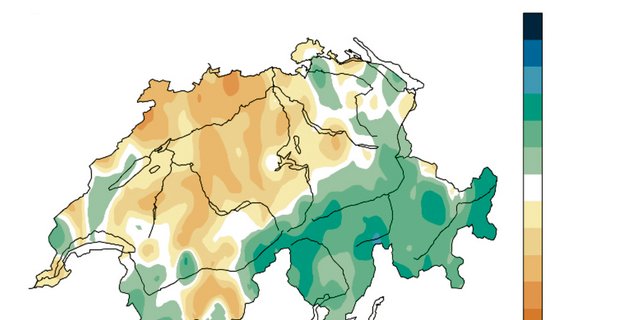 Wenig Niederschlag: 2019 war es im Vergleich zum langjährigen Mittel vielerorts zu trocken.   (Quelle: Klimabulletin 2019 von Meteo Schweiz)
