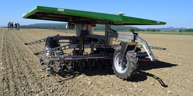 Der Roboter jätet, indem sich die kleinen Hackscharen zwischen den Zuckerrüben in die Reihe rein- und wieder rausbewegen. (Bilder Stefanie Giger)