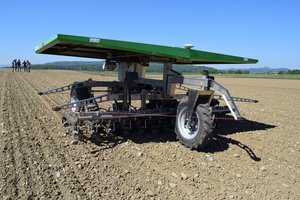 Ein Roboter gibt der mechanischen Unkrautbekämpfung neuen Schub Der Roboter jätet, indem sich die kleinen Hackscharen zwischen den Zuckerrüben in die Reihe rein- und wieder rausbewegen. (Bilder Stefanie Giger)