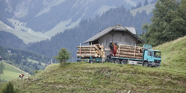Dank der neuen Beiträge sollen Schweizer Wälder auch in schwer zugänglichen Gebieten in gutem Zustand gehalten und klimafit gemacht werden können. (Bild zVg)