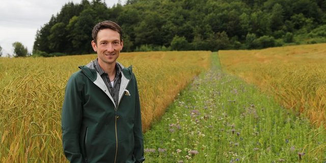 Severin Kiener bei seinem Blühstreifen im Dinkel. (Bild lid/ji)