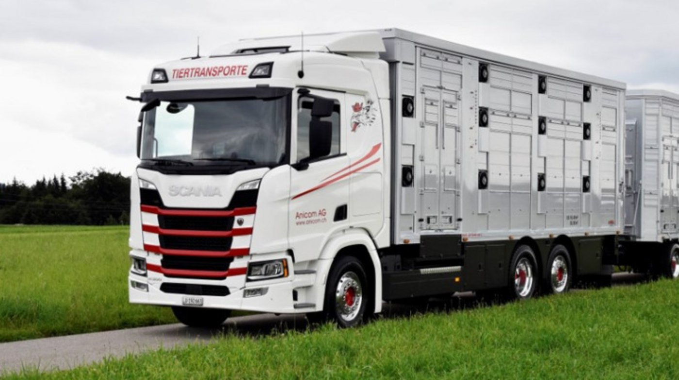 Für 2021 rechnet Anicom mit einer Entspannung auf dem Kalbfleischmarkt, da die Gastronomie wieder geöffnet ist. Der Detailhandel werde sich normalisieren und der Einkaufstourismus wieder zunehmen. (Bild Anicom) 