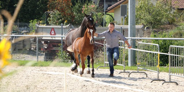 Als Corona-Massnahme mussten alle Besucherinnen und Besucher der Fohlenschau ihre Kontaktdaten hinterlassen. Dafür gab es ein blaues Armband. (Bild Alain Waser)