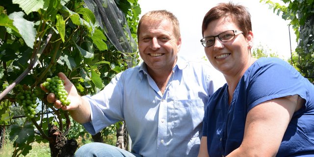 Zufrieden mit ihrem Weinberg: Markus und Eveline Bättig bauen auf rund 130 Aren Reben an. Den Wein vermarkten sie selber. (Bilder aem)