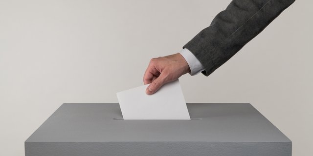 Die Abstimmungen stehen bevor: Wir befragten drei Personen aus der Landwirtschaft, wie sie den Abstimmungskampf erlebt haben und welches Resultat sie sich erhoffen. (Bild Adobe Stock)