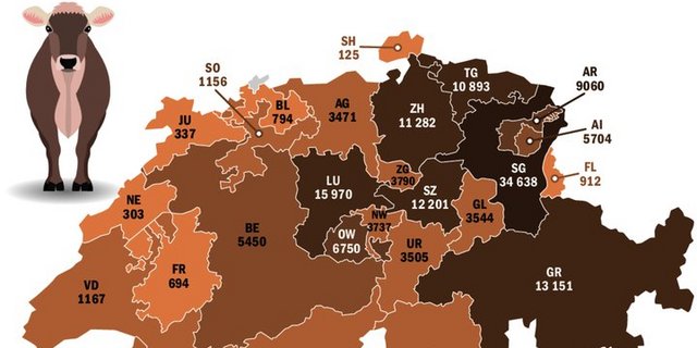 St. Gallen ist die Hochburg der Braunen Kuh. Wie die Zahlen von Braunvieh Schweiz zeigen, ist sie aber in der ganzen Schweiz beheimatet.