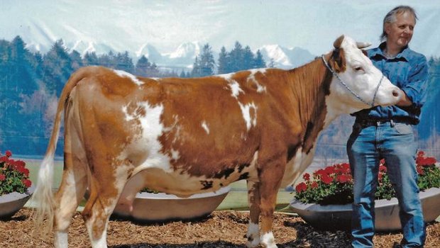 Andreas Schneider aus Walkringen durfte sein Rösli 2013 an der BEA in der Dauerausstellung zeigen. (Bild Esra-Fot)