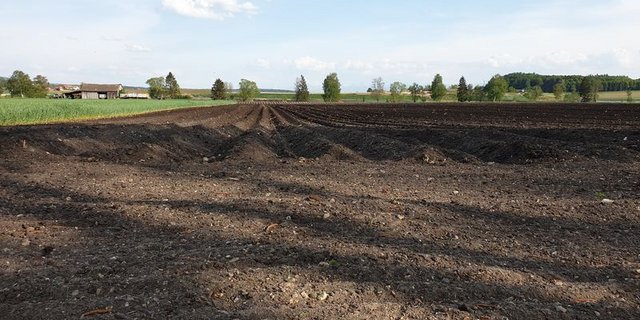 Der Boden soll gestärkt werden. (Bild lid/ji)