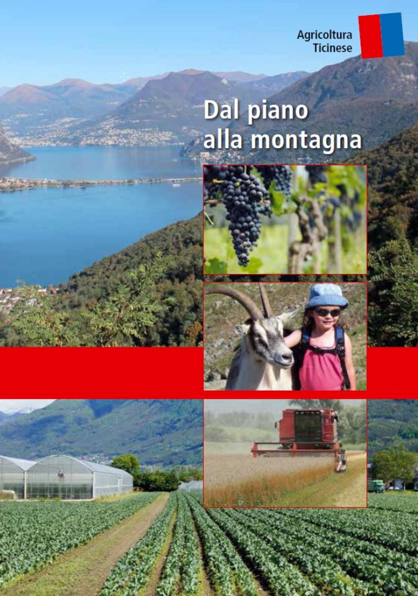 So präsentiert sich die Broschüre. (Bild zVg)