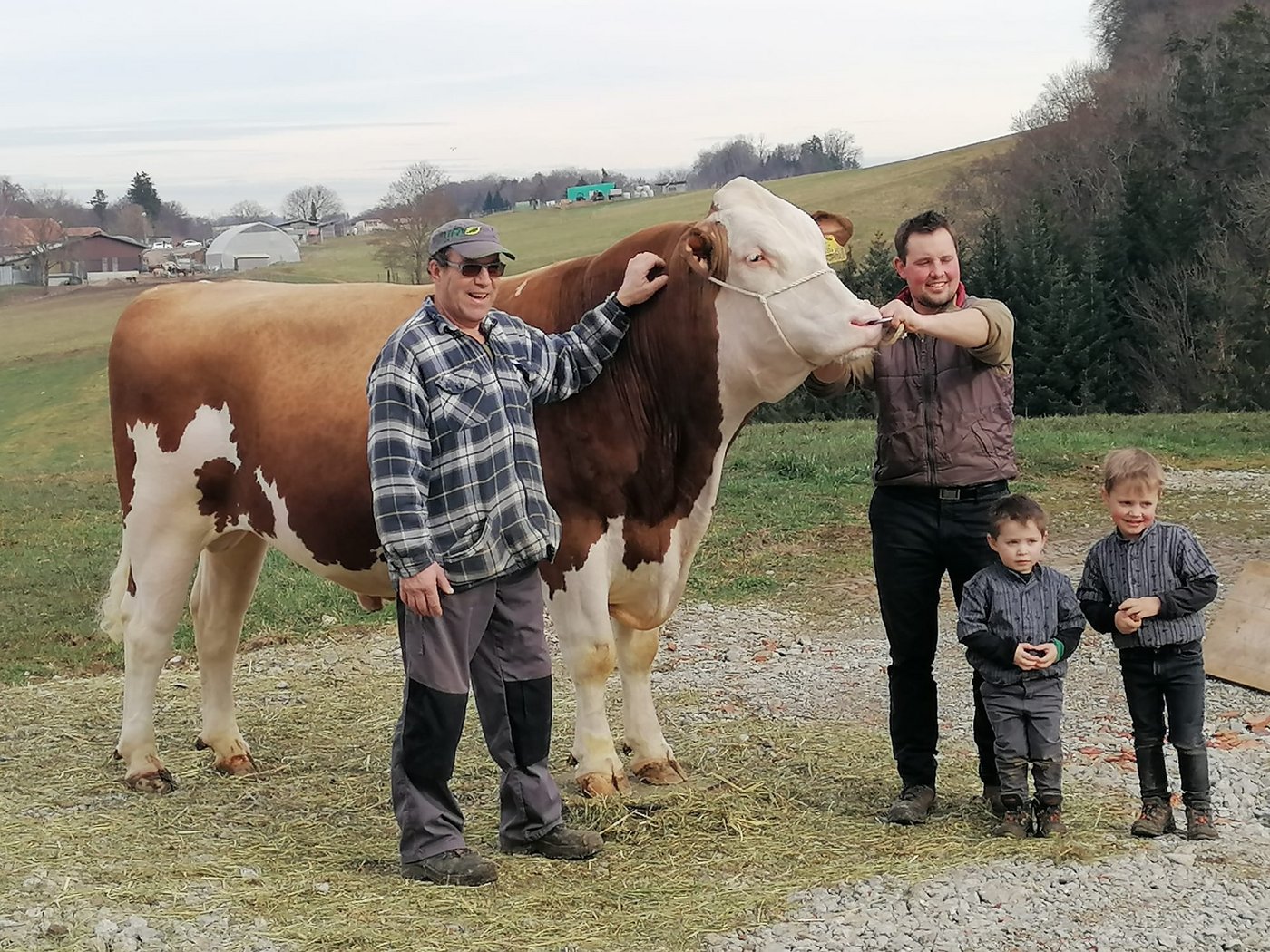 Der Stier Swat präsentiert sich mit den BZG-Partnern Heinz Herren (links) und Simon Zahnd sowie dessen beiden Söhnen. (Bild Familie Zahnd)