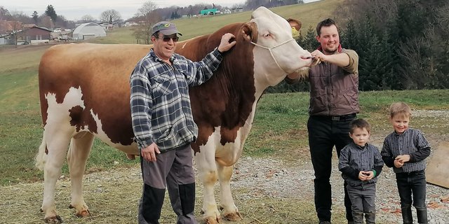 Der Stier Swat präsentiert sich mit den BZG-Partnern Heinz Herren (links) und Simon Zahnd sowie dessen beiden Söhnen. (Bild Familie Zahnd)