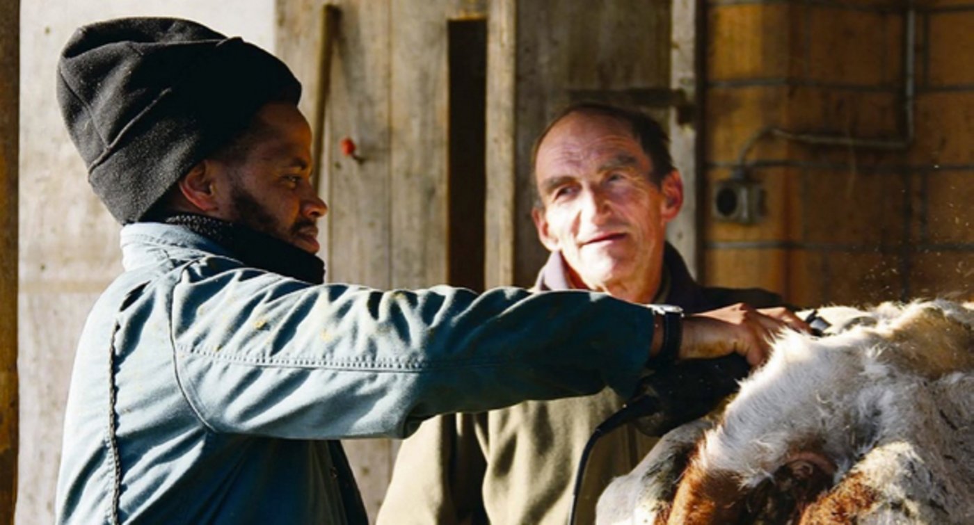 Vertrauen schenken, Vertrauen erhalten: Tesfu Adhanom und sein Lehrmeister Markus Ramser arbeiten im thurgauischen Illhart Hand in Hand. (Bild Curdin à Porta)