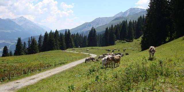 Die Berggebiete wünschen sich weniger Administration. (Bild lid)