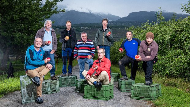 «Unsere Kinder, egal ob vom Land oder aus der Stadt, teilen dasselbe Schicksal», betonen die Sittener Bio-Obstbauern. Sitzend v.l.n.r: Olivier Cordey, Olivier Schupbach, stehend v.l.n.r: Gérard Constatin, Jean-Paul Varone, Stéphane Dessimoz, Gérard Varone, Flavien Cordey, Sebastian Grünefelder. (Bild Oliver Maire)