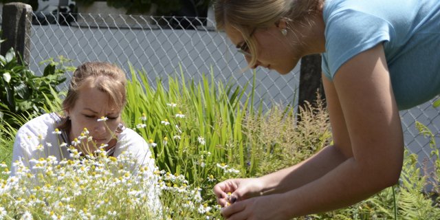 Absolventinnen der Bäuerinnenschule im Modul Gartenbau am BBZN Schüpfheim. (Bilder Andrea Gysin)