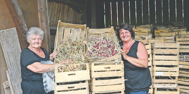 Die Zwiebeln wären parat. Doch heuer wird es viel weniger Trütsche brauchen, da der Berner Zibelemärit abgesagt ist. Hanni Iseli (links) und Gaby Iseli, eine der drei Töchter auf dem Familienbetrieb Iseli, lassen sich trotzdem das Lachen nicht nehmen. (Bild Andrea Wyss)