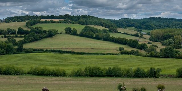 Im Luzernischen gibt es Zoff bei der Pflege einer Hecke eines Vernetzungsprojekts. (Sympolbild Pixabay)