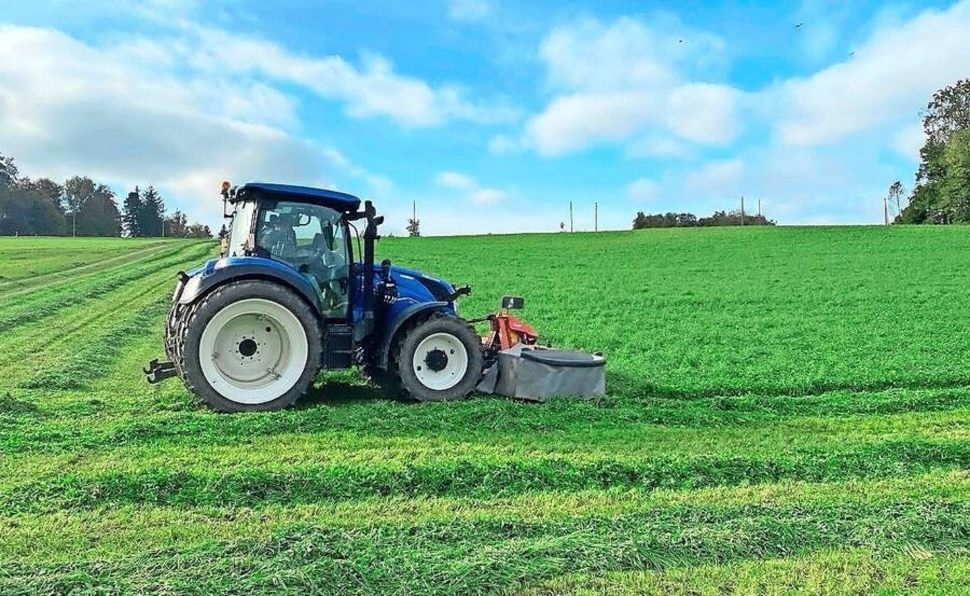 Im Wissen, dass die Verhälntisse nicht mehr besser werden, hat Enea Zimermann den letzten Schnitt des Jahres geerntet.