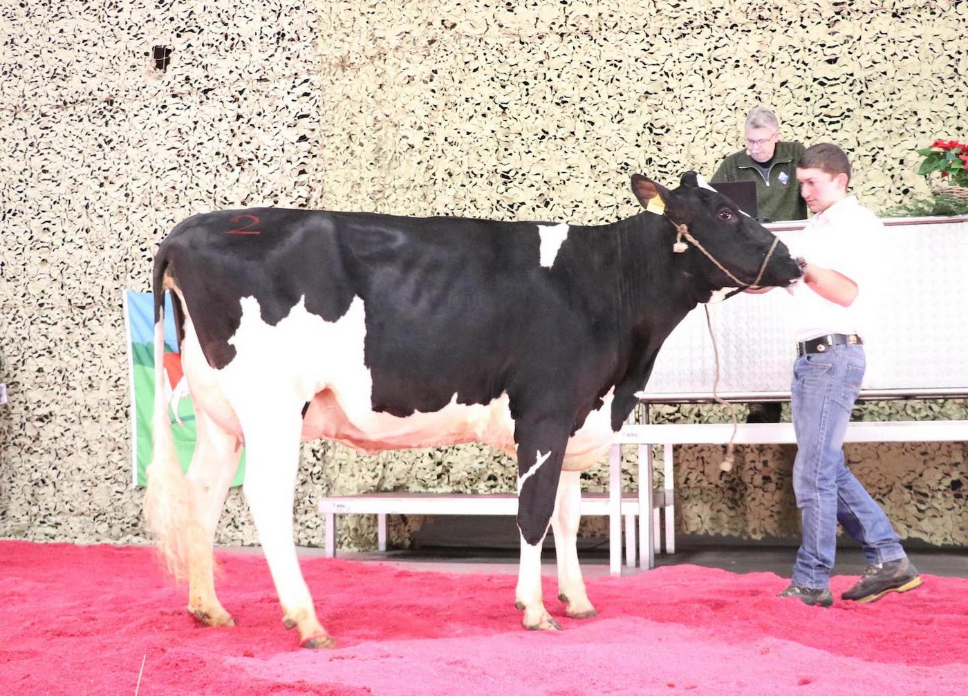 Käsers Unix Trista beeindruckte mit ihrem Exterieur und einer leistungsstarken Familie im Hintergrund. 