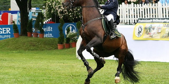Pferde können auf Gefahr hin wild reagieren (Bild Usien)
