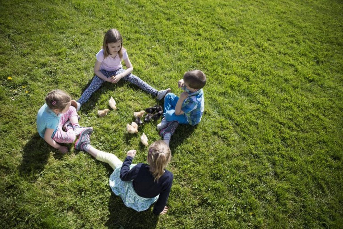 Die Angebote sind bei Kindern beliebt. (Bild Feba)
