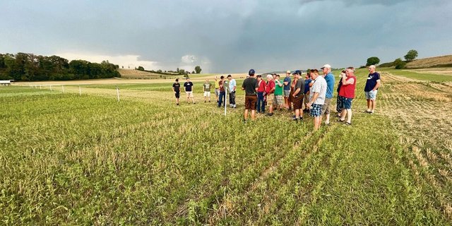 Dem Boden zuliebe säten Gysels Gründüngen nach der Ernte ein. Die Teilnehmer des Flurgangs beurteilen den Bestand. 