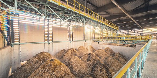 Der Ausbau von Holzheizungen führt zu einer ständig steigenden Nachfrage nach Energieholz.