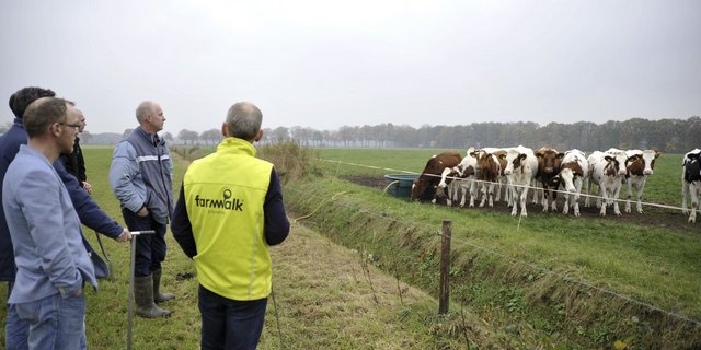 Bauern und Kühe müssen sich an die wieder aufkommende Haltungsform gewöhnen. (Bilder mvw)