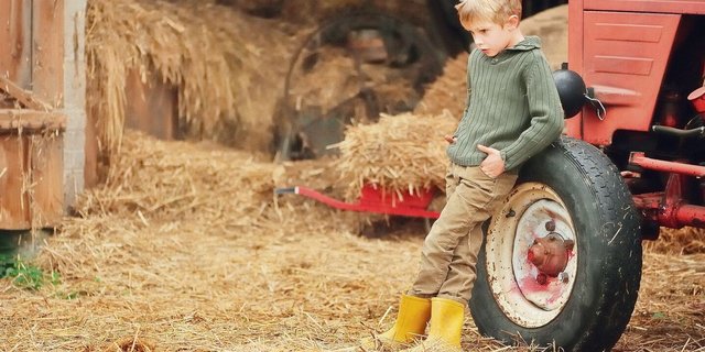 Ein Burn-out betrifft die ganze Familie, gerade auch in der Landwirtschaft. Daher ist es wichtig, frühzeitig mit allen Betroffen zu sprechen, auch mit den Kindern. 