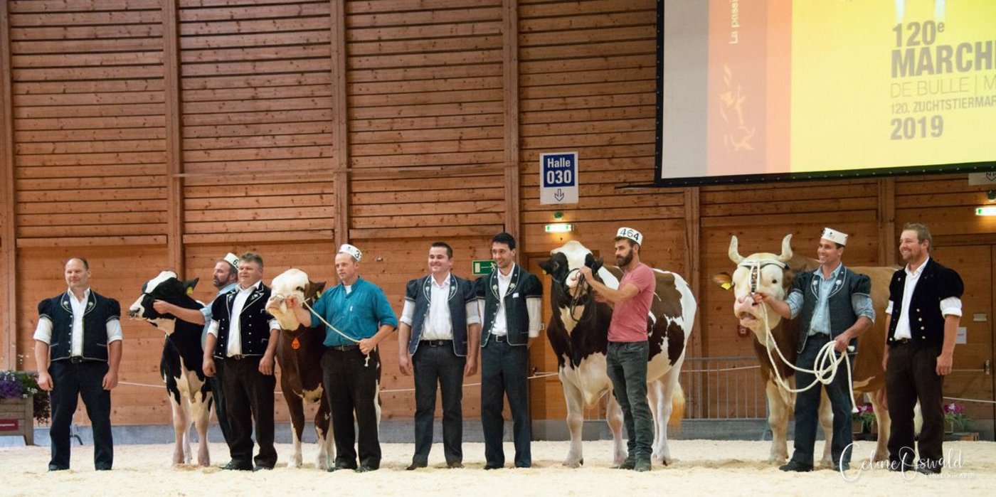 Solche Bilder wird es 2020 leider nicht geben: Der Zuchtstierenmarkt Bulle findet corona-bedingt nur online statt. (Bild marche-concours-bulle.ch)