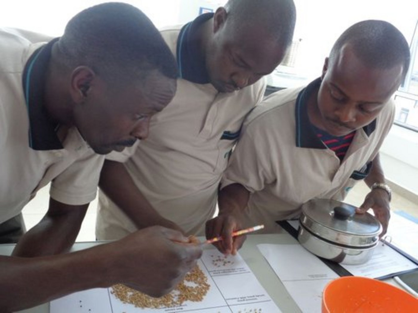 27 Personen besuchen die Schule bereits. (Bild Bühler)