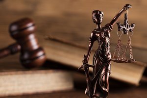 Oppositionelle Bauern bekommen Recht: TMP habe Beiträge zu Unrecht eingezogen Das Thurgauer Obergericht entschied zu Gunsten der Klägergruppe. (Symbolbild Shuttershock)