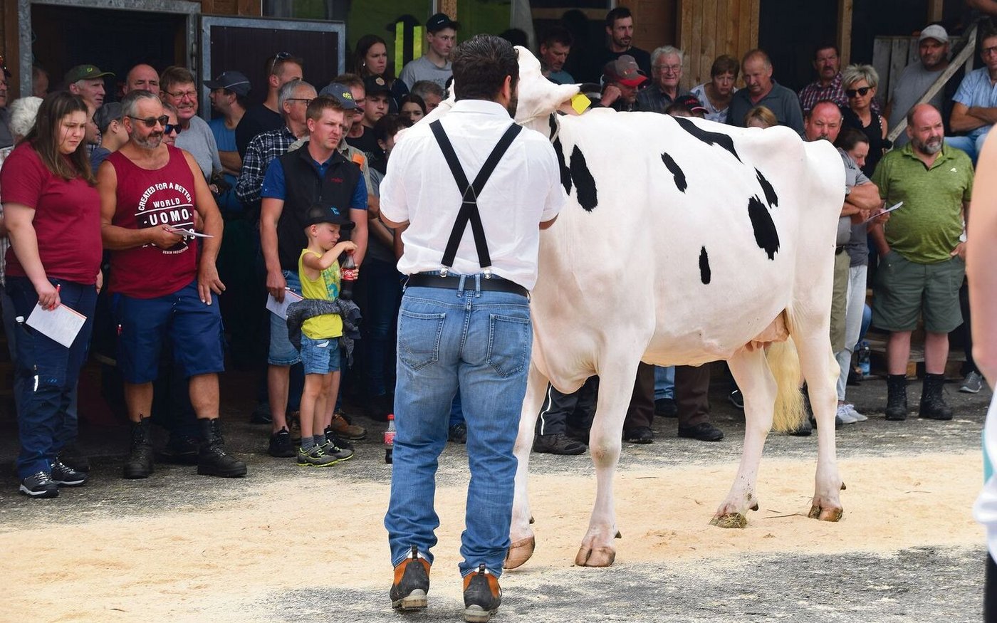 Quasi für ein Schnäppchen zu haben: Die mächtige Rogy Dempsey Jussey galt «nur» 3700 Franken.