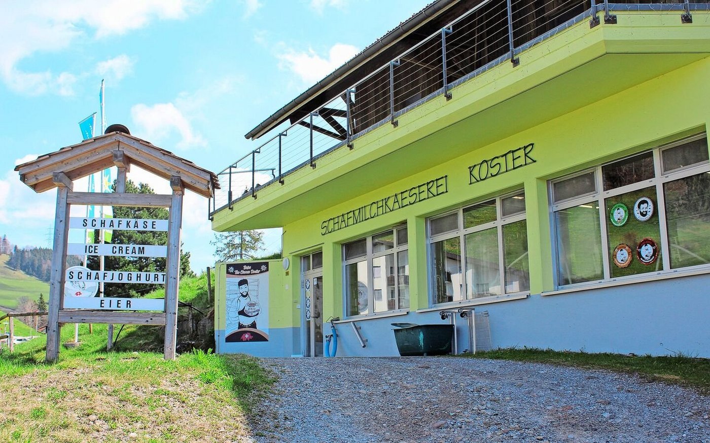 Die 1990 gegründete Schafmilchkäserei Koster GmbH in Wald verarbeitet rund 180 000 kg Schafmilch und 30 000 kg Kuh-Büffelmilch im Jahr.