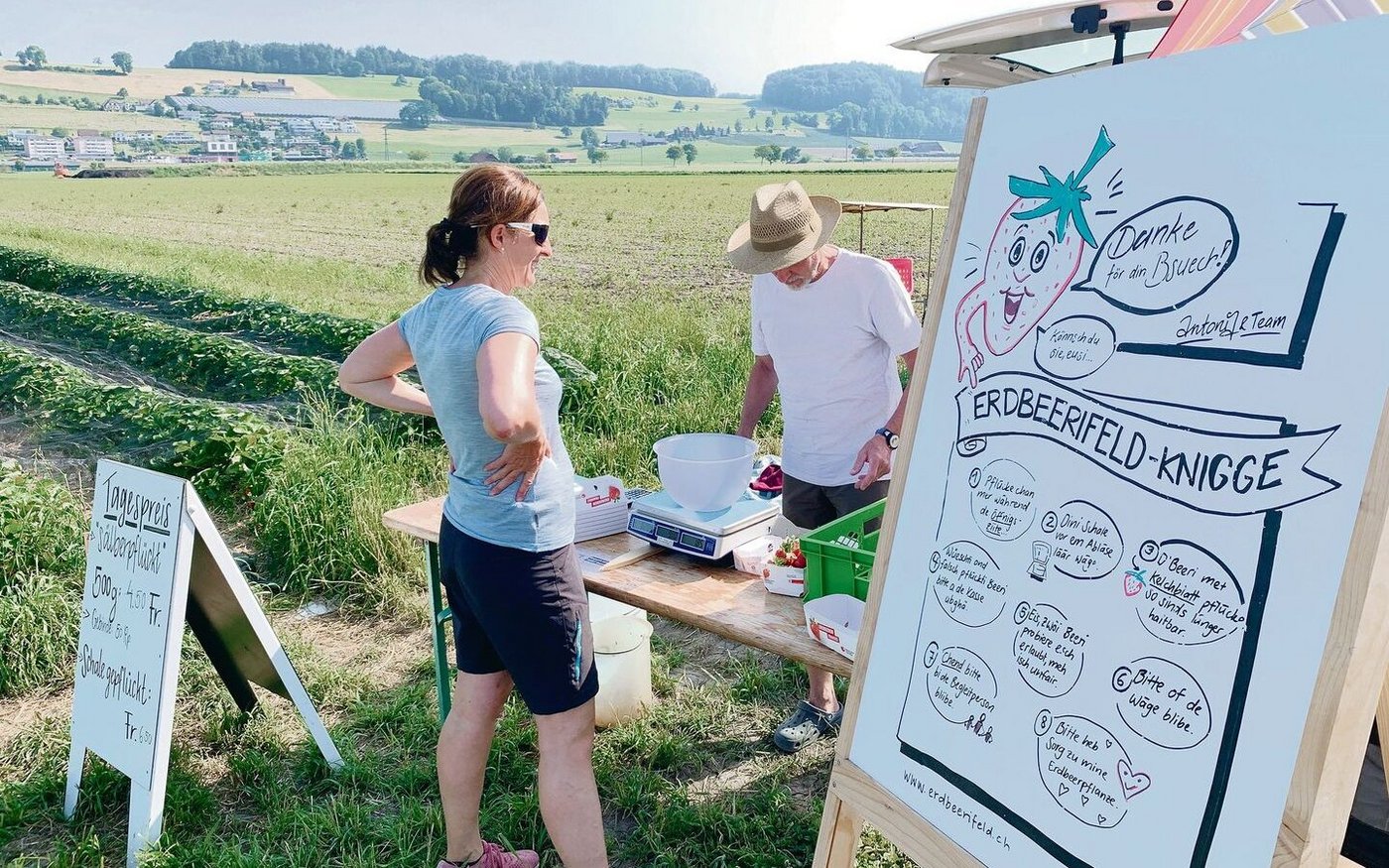 Auf einem Selbstpflückfeld braucht es Regeln und auch eine personelle Kontrolle, so zum Wägen und Zahlen. 