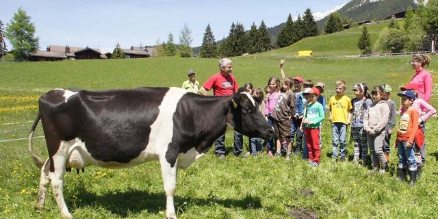 Kinder sollen mehr über Landwirtschaft und die Tätigkeiten der Bauernfamilien lernen. (Bild lid)