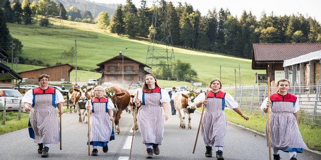 Die Tiere werden für den Abzug bunt geschmückt. (Bild Schwarzsee Tourismus)