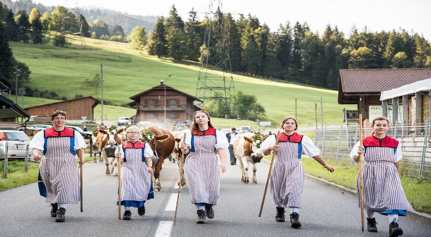 Die Tiere werden für den Abzug bunt geschmückt. (Bild Schwarzsee Tourismus)