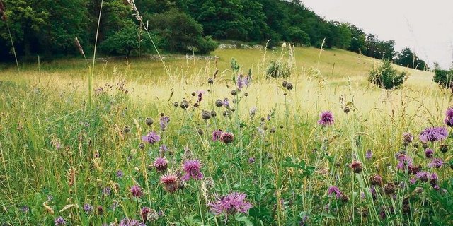 Vielfältig strukturierte und gut vernetzte Aargauer Kulturlandschaft. Das Programm Labiola ist eine Erfolgsgeschichte und soll weitergeführt werden 