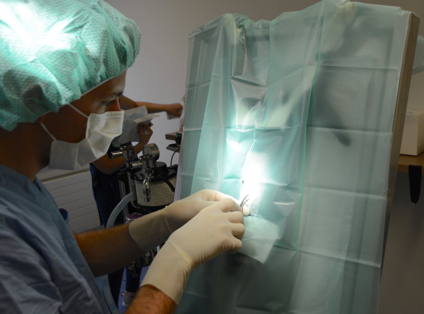 Das Vet-Team kastrierte Katzen, in Zusammenarbeit mit der IG Landwirtschaft Willisau und Tierschutz Luzern. (Bild Armin Emmenegger)