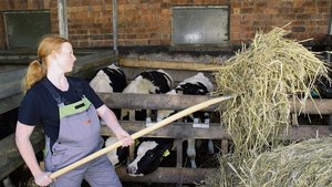 Für Schwangere gilt Für Schwangere gilt laut Mutterschutzverordnung eine Befreiung von Arbeiten, «die subjektiv beschwerlich sind». Für Bäuerinnen ist dies nicht einfach umsetzbar.