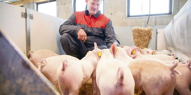 Kaspar Sigrist im neuen Schweinestall, wo emissionsmindernde und tierfreundliche Stallkonzepte realisiert wurden. 
