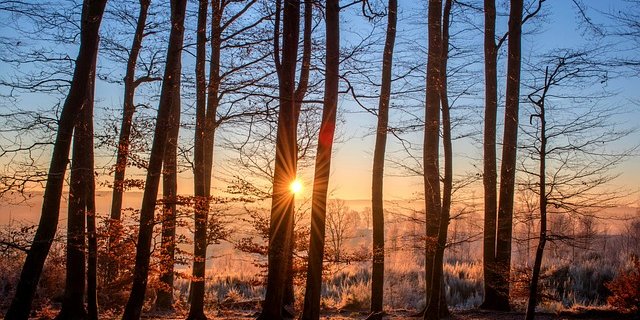 Gerade im Winter ist es schwierig, genügend Sonnenlicht für die Vitamin-D-Produktion über die Haut aufzunehmen. (Bild Pixabay)