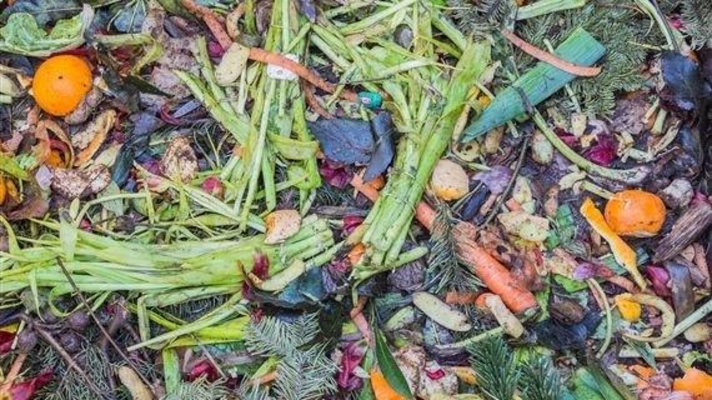 Lebensmittelverschwendung oder Food Waste ist ein gesellschaftliches Problem, über das seit einigen Jahren viel geschrieben wird. (Bild pd)