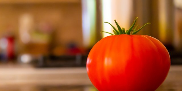 Der Tenor aus der Vernehmlassung zur Verlängerung des Gentech-Moratoriums ist klar: Gentechnisch veränderte Pflanzen soll es auch in Zukunft in der Schweiz nur zu Forschungszwecken geben. (Symbolbild Nicholas_Demetriades / Pixabay)